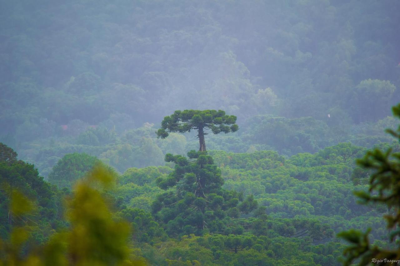 Pousada Ricanto Amore Mio Monte Verde  Kültér fotó