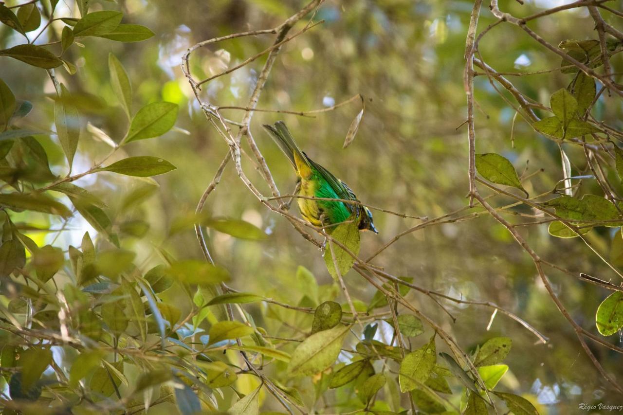 Pousada Ricanto Amore Mio Monte Verde  Kültér fotó